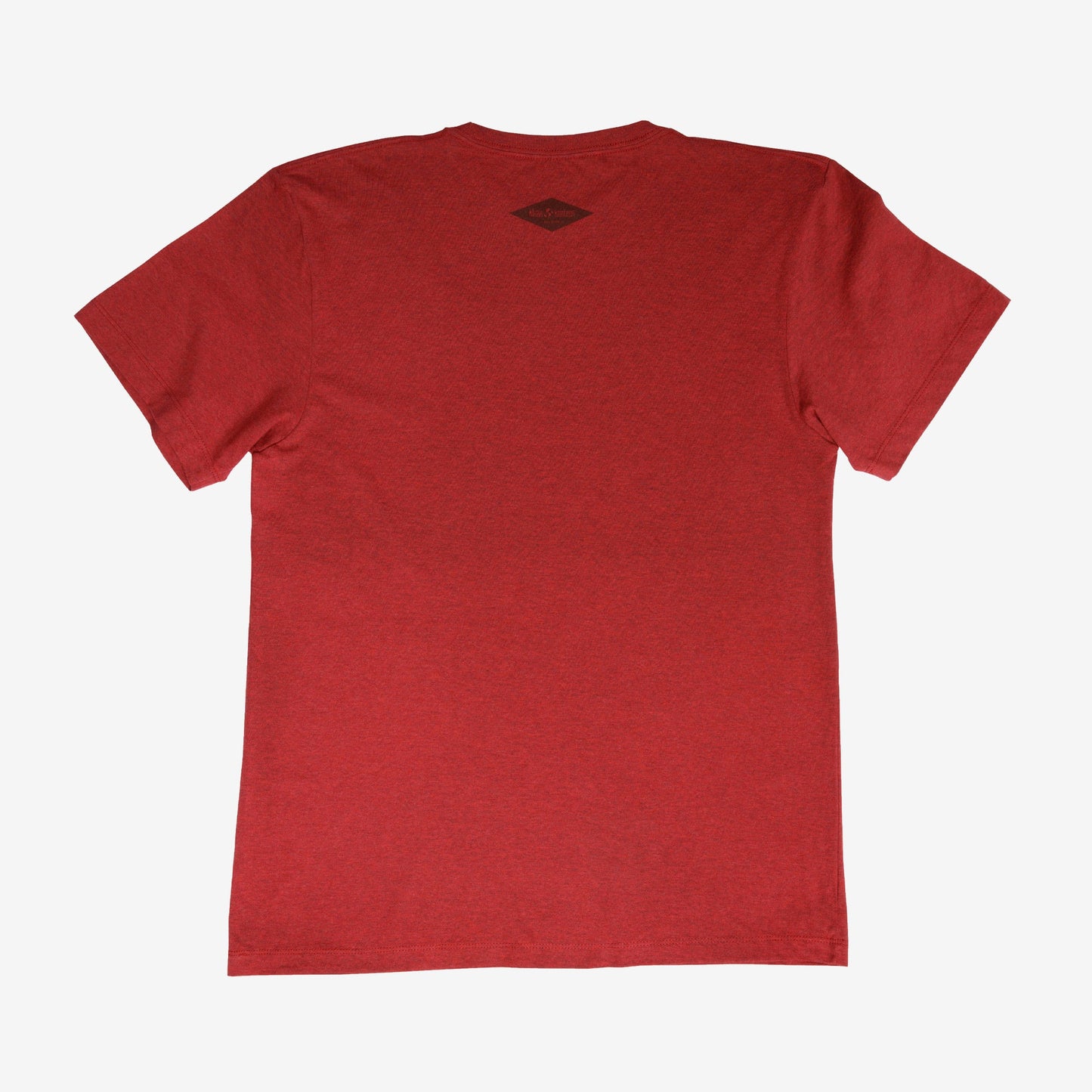 backyard-t-shirt-s9 Shirt_Mtn_Back.jpg
