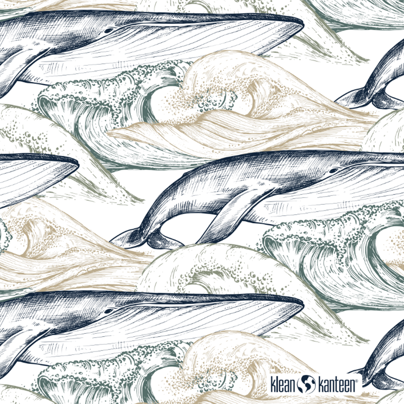 20oz-tkwide-with-twist-cap-ocean-day-k9 20oz_tkwide_bottle_seasonal_ocean_day_whale_artwork_square.png